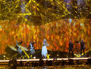 عکس: آذربایجان دومین جایگاه مسابقه آوازخوانی یوروویژن از آن خود کرد (تصویری) / آذربایجان