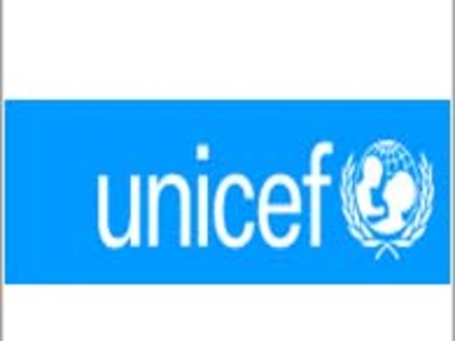عکس: نماینده بنیاد "کودکان" سازمان ملل متحد وارد گرجستان شد / سیاست