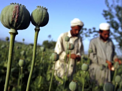 عکس: بیست سال زندان برای 'قاچاقچی عمده' مواد مخدر در افغانستان / افغانستان
