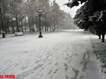 عکس: بارش اولین برف زمستانی در باکو (گزارش تصویری)  / آذربایجان