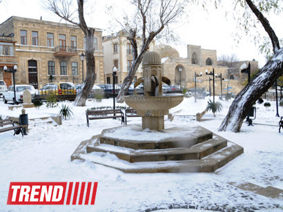 عکس: برف در باکو (گزارش تصویری)  / تصویری