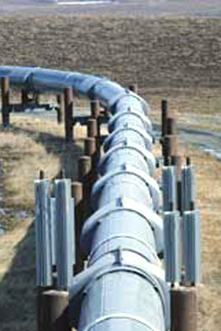 Turkmenistan building TAPI pipeline in line with schedule