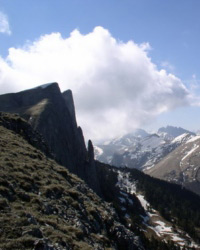 В Швейцарии начали продавать альпийский воздух