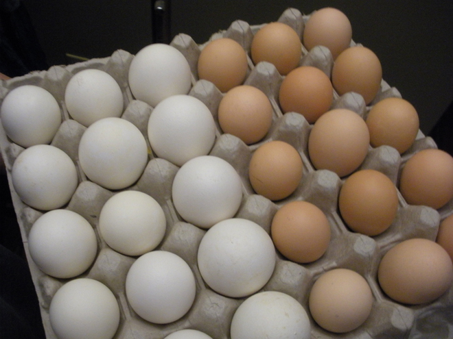 Yumurtanın qiymətini mağazalar, sakibkarlar bahalaşdırır(?)