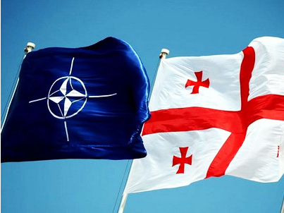Более 3 тыс. военных примут участие в учениях НАТО в Грузии
