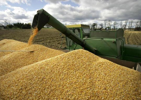 МЧС Азербайджана приступило к закупке зерна для Государственного зернового фонда