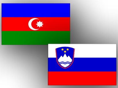 МИД: Словения готова рассмотреть дополнительные меры по расширению сотрудничества с Азербайджаном (Эксклюзив)