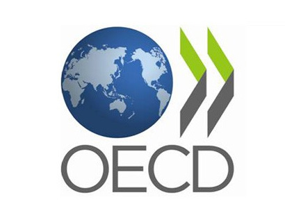 OECD explores Turkmen market