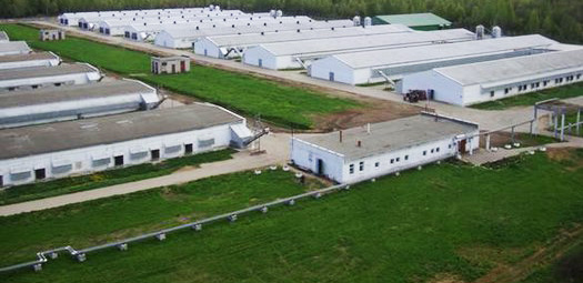 Три индустриальные зоны будут развивать в Туркестанской области Казахстана