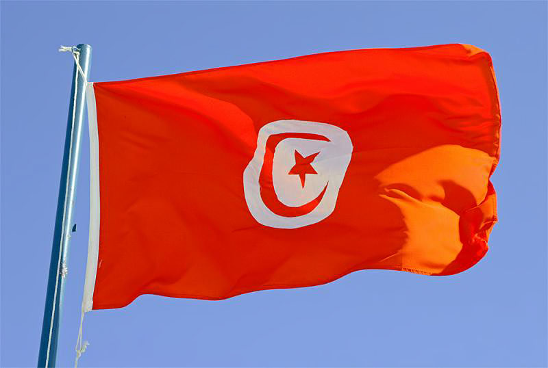 Шесть кандидатов на президентских выборах в Тунисе обжаловали их итоги
