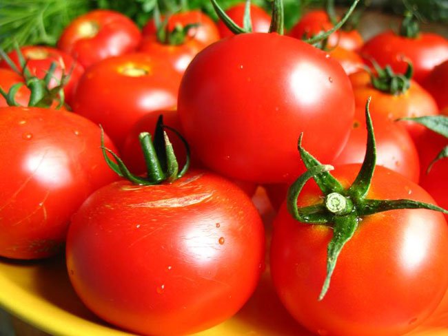 Azərbaycan Rusiyaya pomidor ixracının həcminə görə liderdir