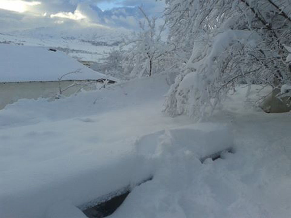 Где в Азербайджане минувшей ночью выпало больше всего снега?