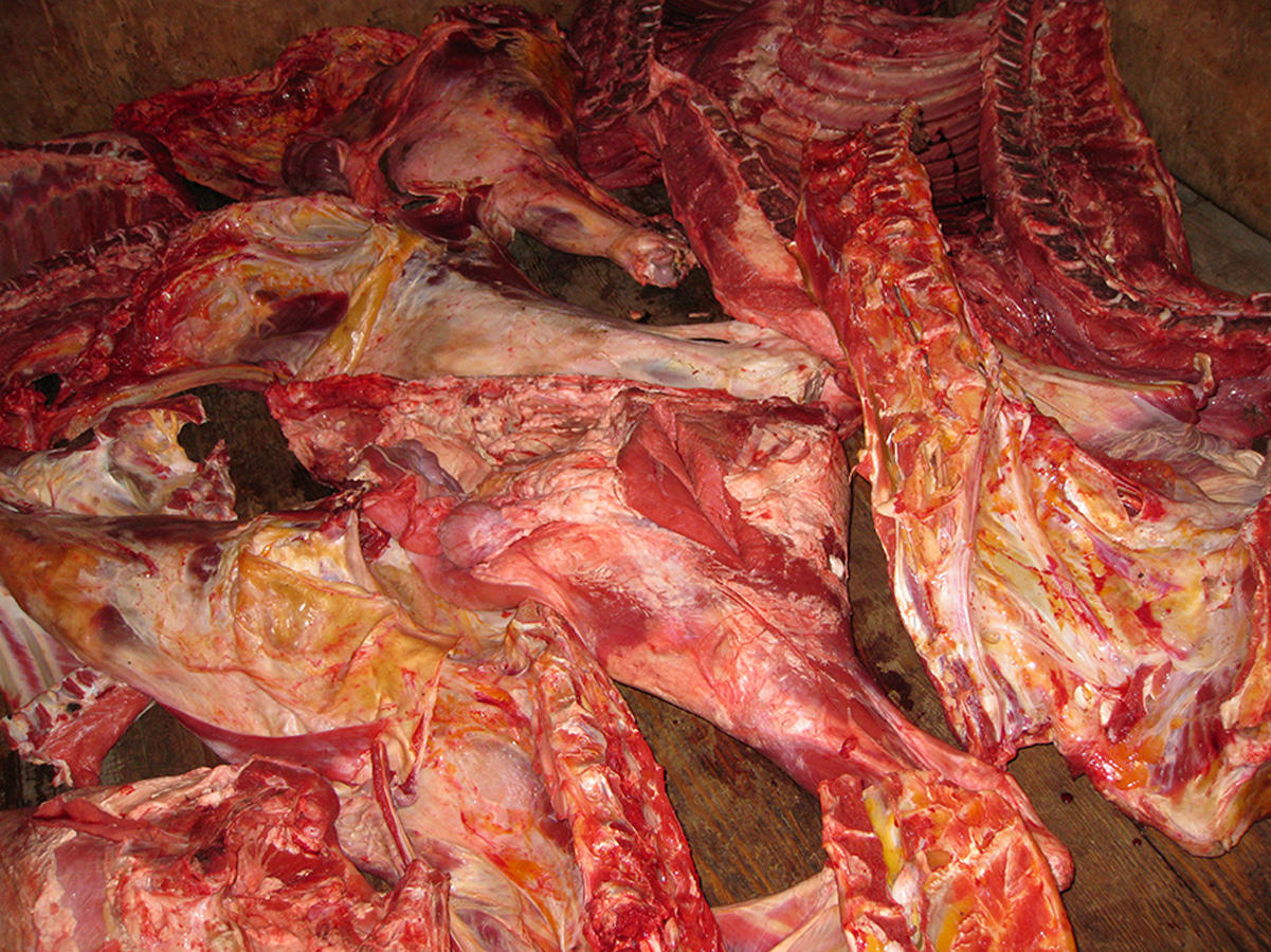 Азербайджан вернул странам-экспортерам 24 тыс. кг негодной мясной продукции — агентство